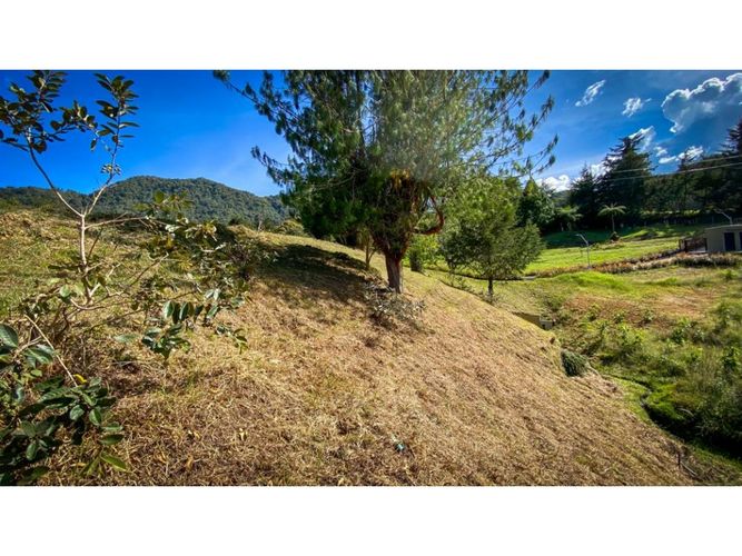 Lote en venta en El Tambo, La Ceja, 1624 m² · foto 12 de 13