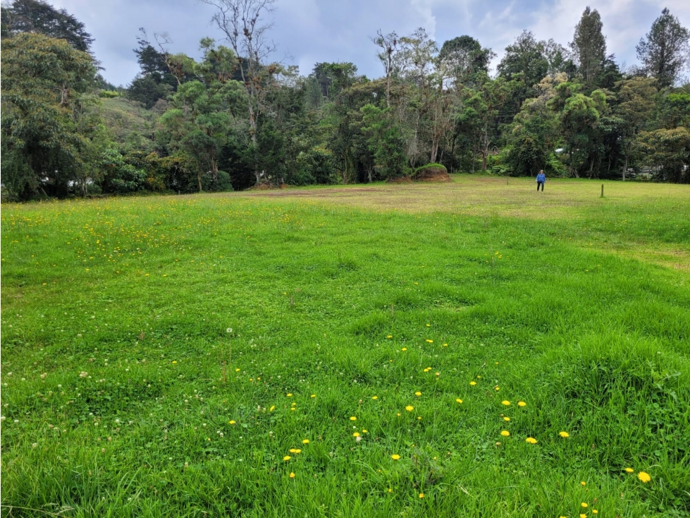 Land in Vía Las Palmas (2729 m²) for Sale - 3