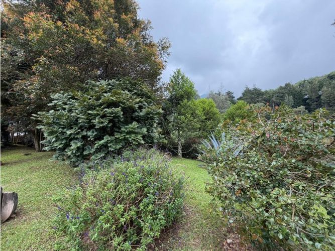 Finca en arriendo en Sajonia, Rionegro, 300 m² · foto 8 de 14