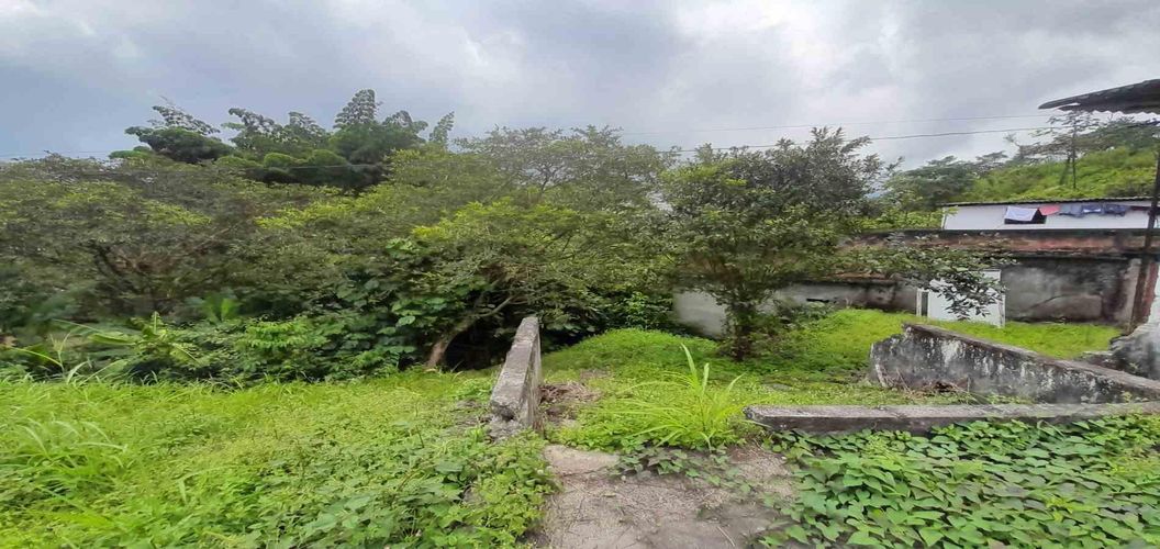 Finca en venta en Las Pavas, Manizales, 157 m² · foto 8 de 24