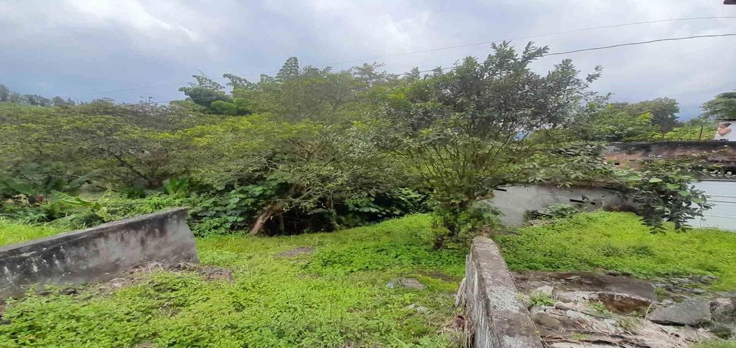 Finca en venta en Las Pavas, Manizales, 157 m² · foto 9 de 24