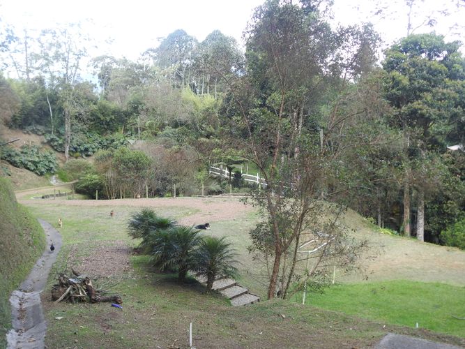 Lote en venta en La Tablaza, La Estrella, 6600 m² · foto 5 de 20