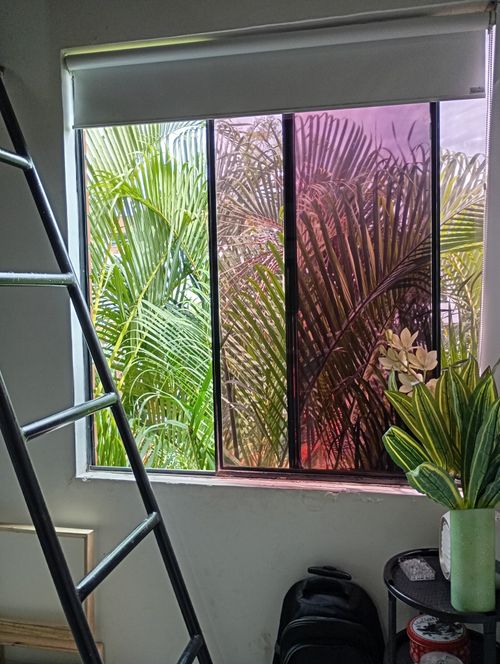 Casa de 4 alcobas en venta en La Flora, Cali, 180 m² · foto 13 de 18