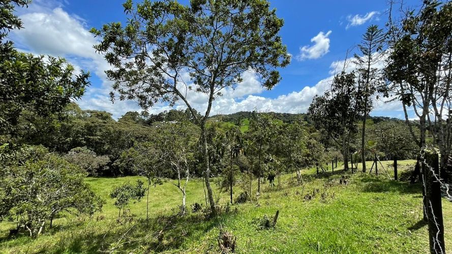 Finca en venta en Santa Elena, Soacha, 114 m² · foto 4 de 24