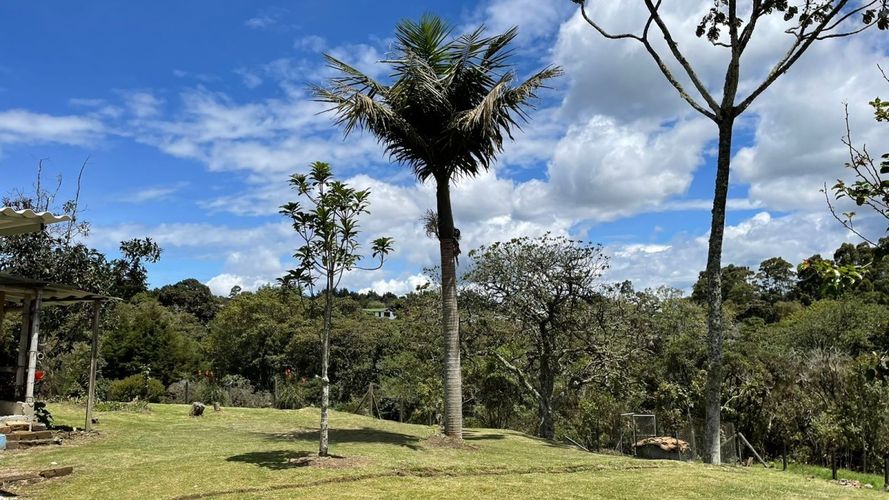 Finca en venta en Santa Elena, Soacha, 114 m² · foto 14 de 24