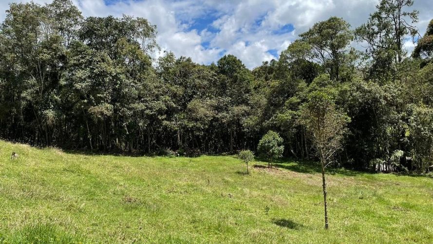 Finca en venta en Santa Elena, Soacha, 114 m² · foto 17 de 24