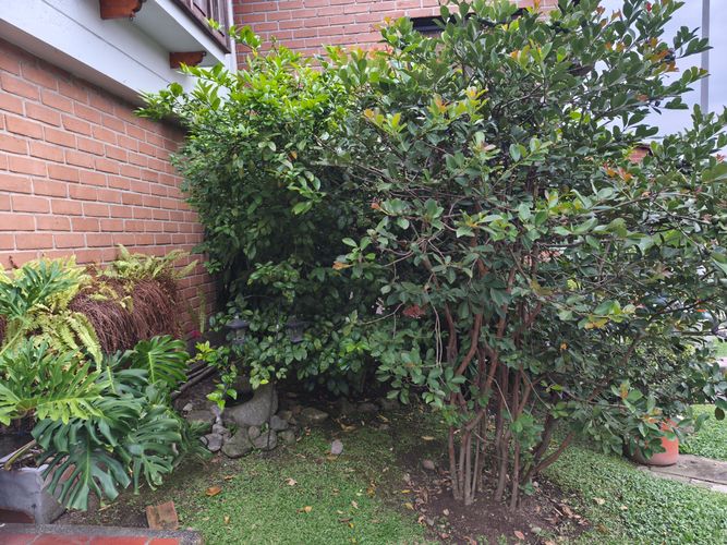 Casa de 4 alcobas en venta en Mesa, Envigado, 220 m² · foto 14 de 17