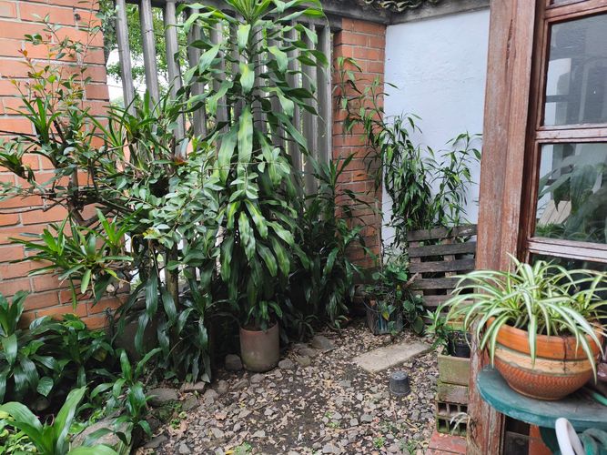Casa de 4 alcobas en venta en Mesa, Envigado, 220 m² · foto 16 de 17