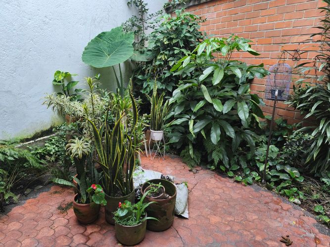 Casa de 4 alcobas en venta en Mesa, Envigado, 220 m² · foto 17 de 17
