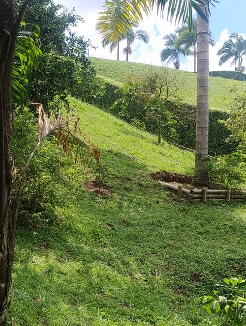 Lote en venta en Cerritos, Pereira, 2174 m² · foto 5 de 8