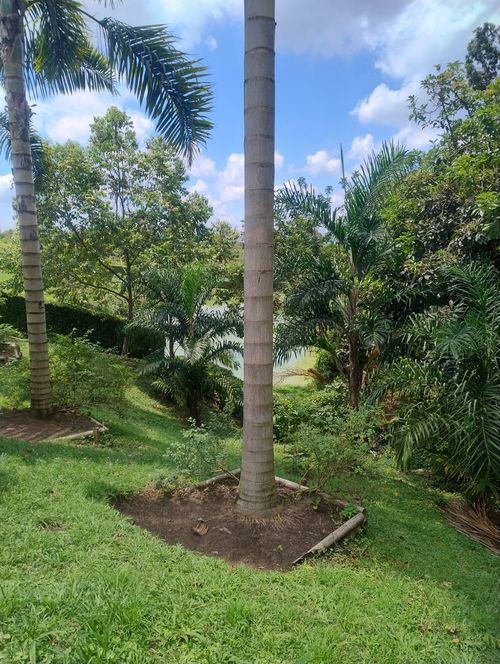 Lote en venta en Cerritos, Pereira, 2174 m² · foto 7 de 8