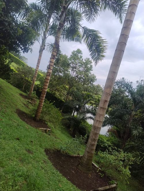Lote en venta en Cerritos, Pereira, 2174 m² · foto 8 de 8