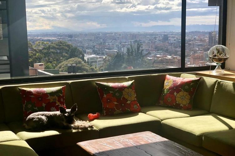 Apartamento de 4 alcobas en venta en El Seminario, Bogotá, 305 m² · foto 5 de 8
