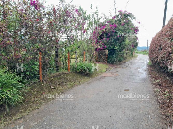 Finca en venta en Vereda La Primavera, Copacabana, 260 m² · foto 9 de 18