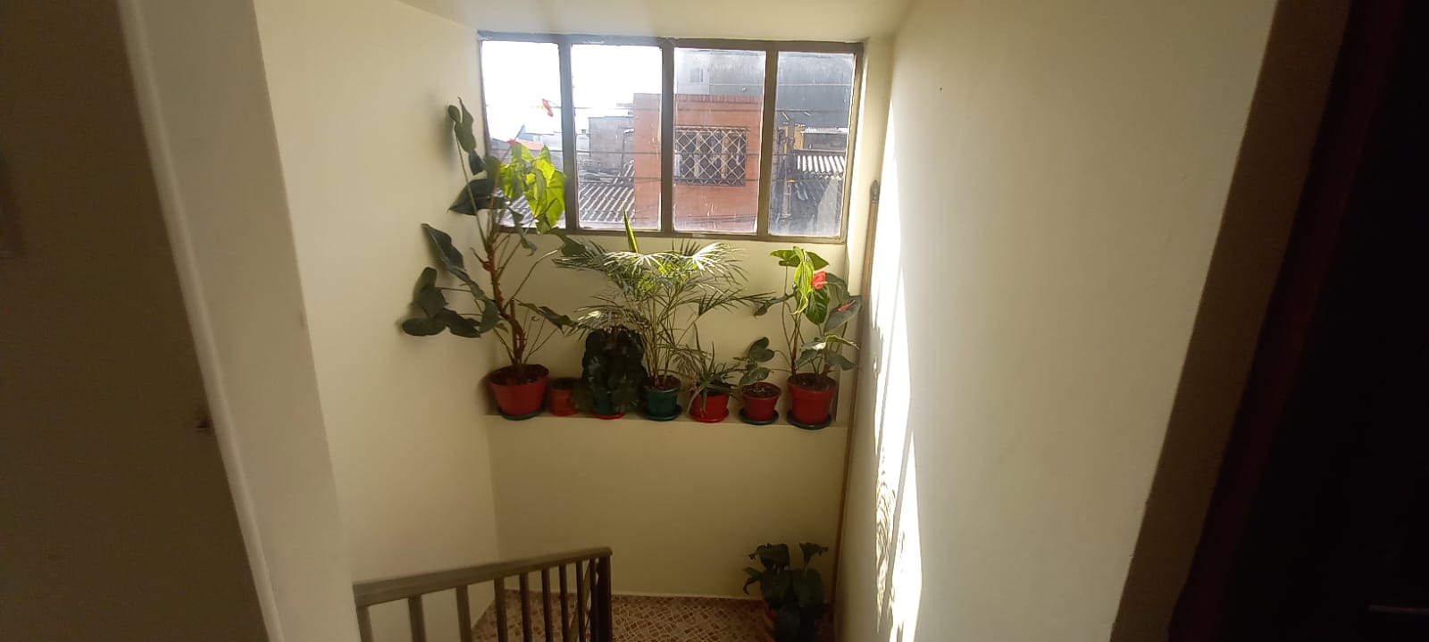 Apartamento en Arriendo en Olaya, Bogotá