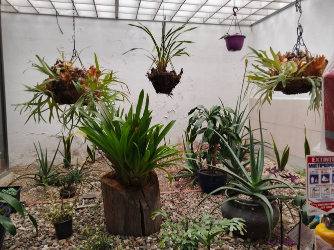 Casa de 6 alcobas en venta en Engativá, Bogotá, 274 m² · foto 3 de 8