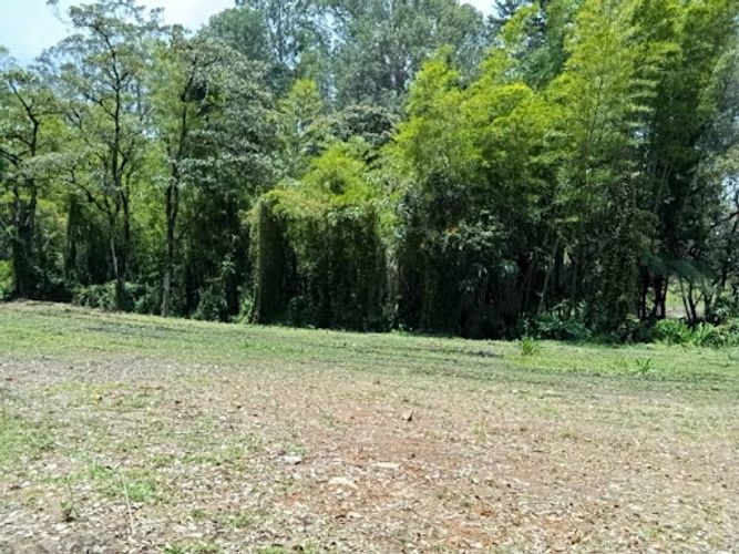 Lote en arriendo en El Porvenir, Rionegro, 2200 m² · foto 16 de 24