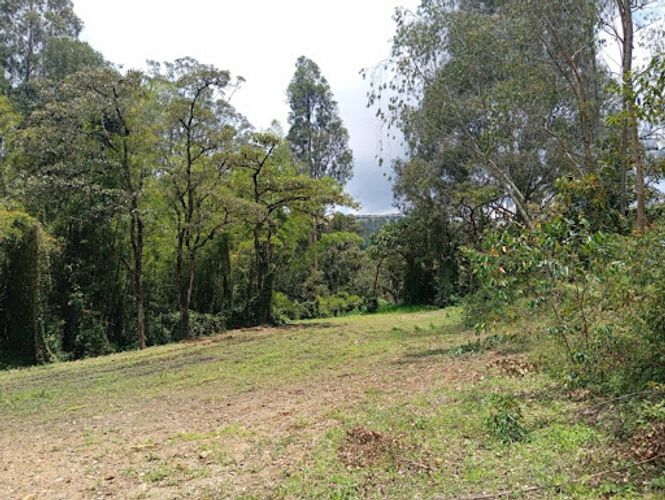Lote en arriendo en El Porvenir, Rionegro, 2200 m² · foto 18 de 24