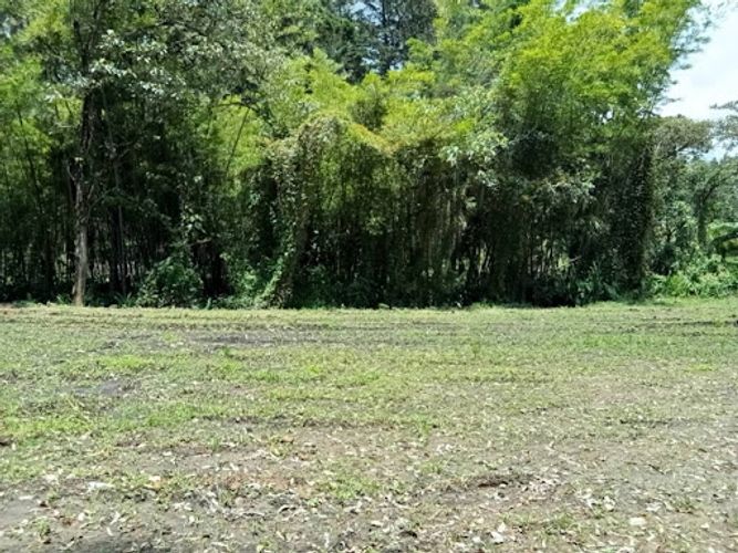 Lote en arriendo en El Porvenir, Rionegro, 2200 m² · foto 19 de 24
