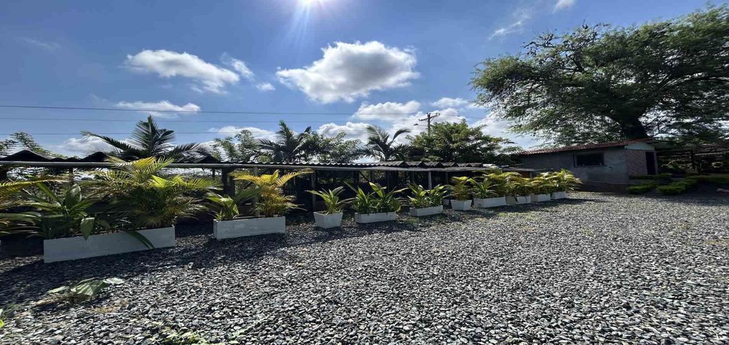 Lote en venta en Cerritos, Pereira · foto 2 de 18