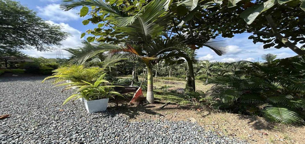 Lote en venta en Cerritos, Pereira · foto 3 de 18