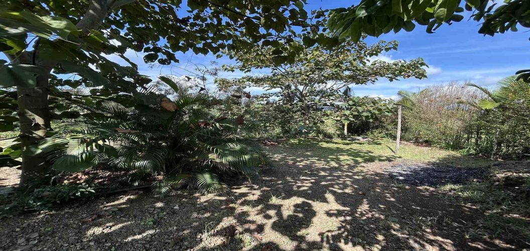 Lote en venta en Cerritos, Pereira · foto 4 de 18
