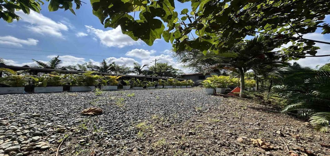 Lote en venta en Cerritos, Pereira · foto 5 de 18