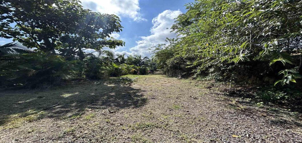 Lote en venta en Cerritos, Pereira · foto 6 de 18