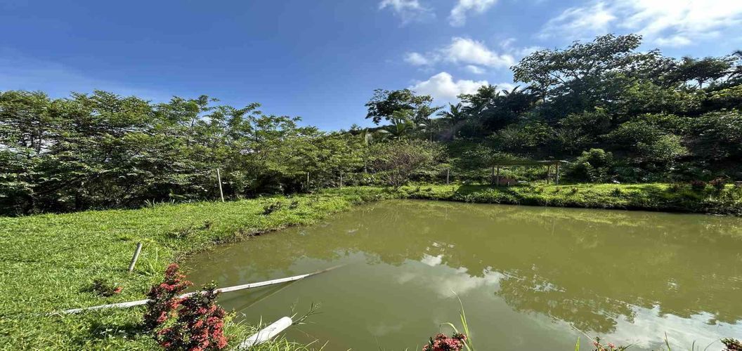 Lote en venta en Cerritos, Pereira · foto 7 de 18