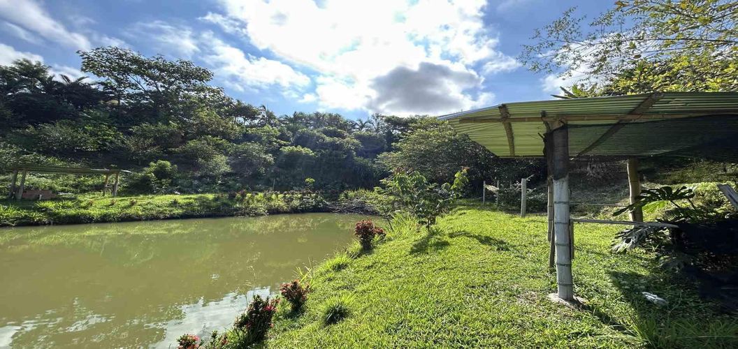 Lote en venta en Cerritos, Pereira · foto 8 de 18