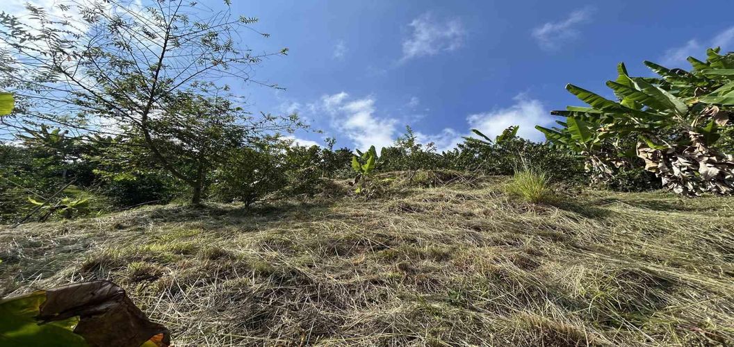 Lote en venta en Cerritos, Pereira · foto 9 de 18