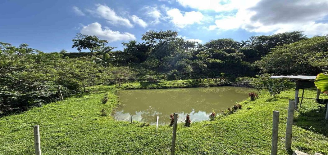 Lote en venta en Cerritos, Pereira · foto 10 de 18