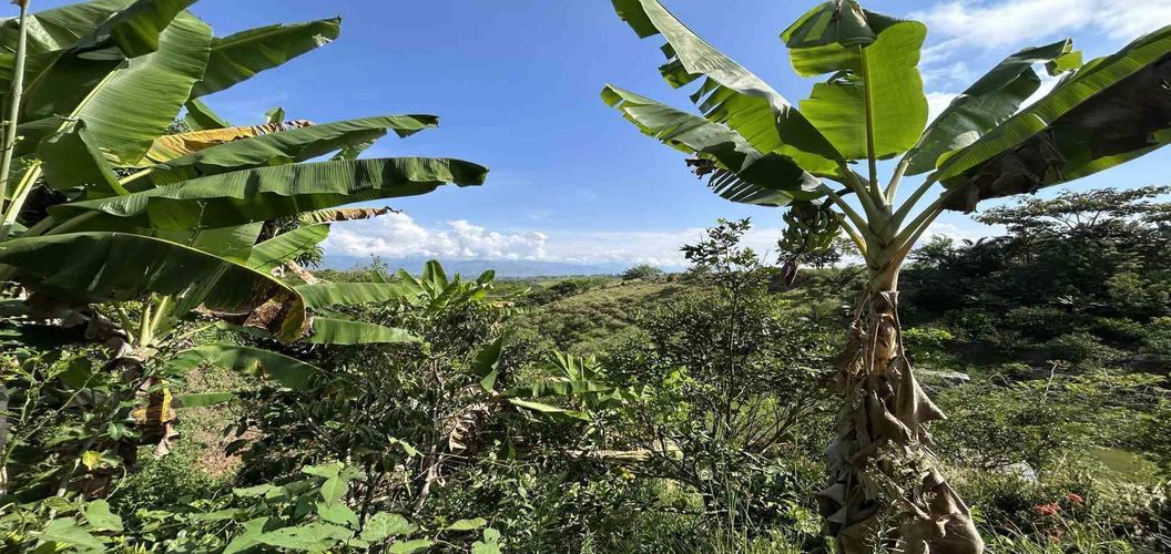 Lote en venta en Cerritos, Pereira · foto 11 de 18