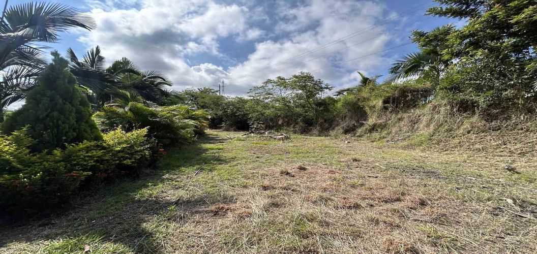 Lote en venta en Cerritos, Pereira · foto 12 de 18