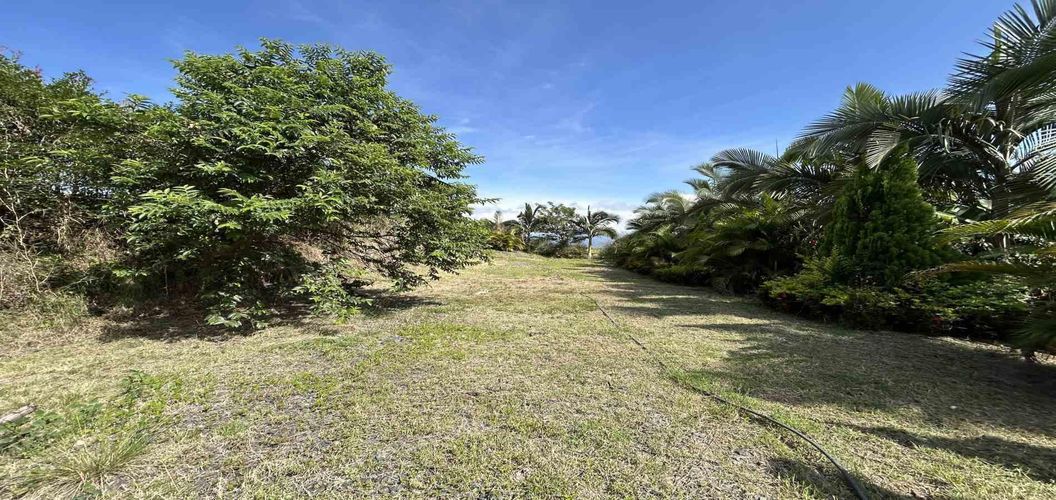 Lote en venta en Cerritos, Pereira · foto 13 de 18