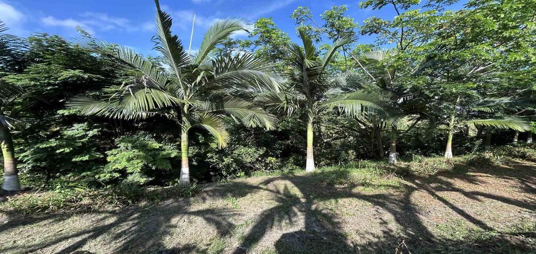 Lote en venta en Cerritos, Pereira · foto 17 de 18
