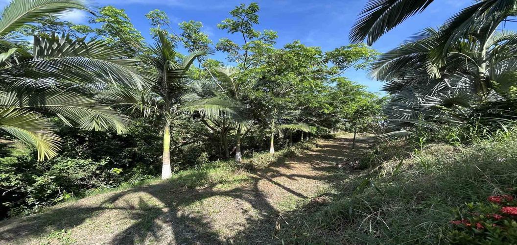 Lote en venta en Cerritos, Pereira · foto 18 de 18