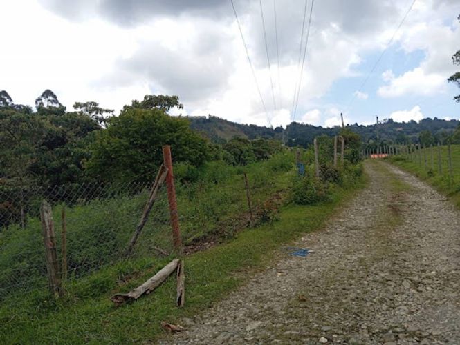 Lote en arriendo en El Porvenir, Rionegro, 5000 m² · foto 15 de 18