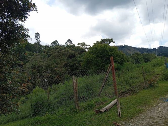 Lote en arriendo en El Porvenir, Rionegro, 5000 m² · foto 16 de 18