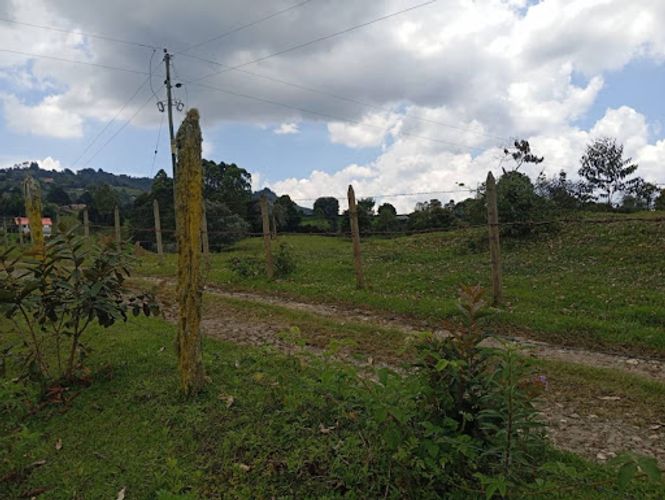 Lote en arriendo en El Porvenir, Rionegro, 5000 m² · foto 17 de 18