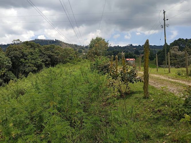 Lote en arriendo en El Porvenir, Rionegro, 5000 m² · foto 18 de 18