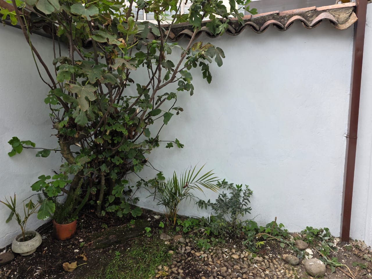 Casa en venta en Santa Ana, Bogotá · foto 19 de 20