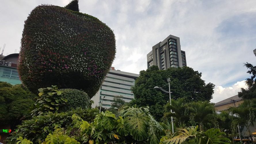 Local en arriendo en La Aguacatala, Medellín, 151 m² · foto 5 de 11