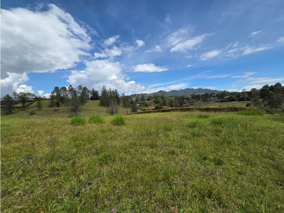 Land in El porvenir (1227 m²) for Sale - 4