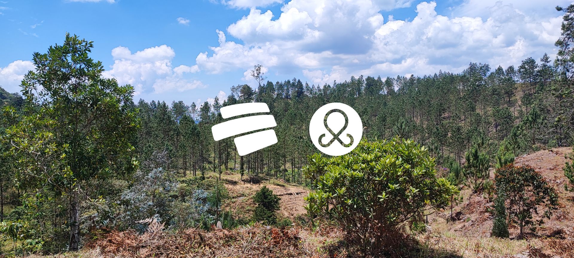 Lote en Venta en El carmen, El Retiro - 2