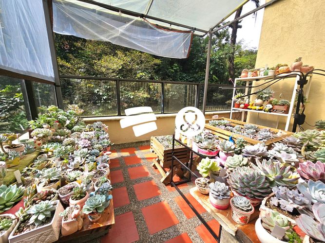 Apartamento de 4 alcobas en venta en Los Naranjos, Medellín, 200 m² · foto 6 de 17