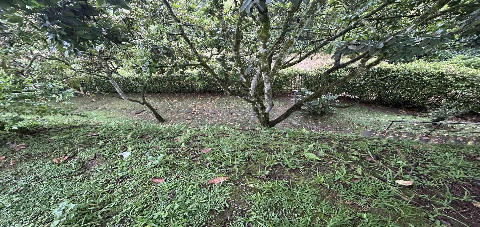 Casa en venta en La Castellana, Pereira · foto 11 de 24