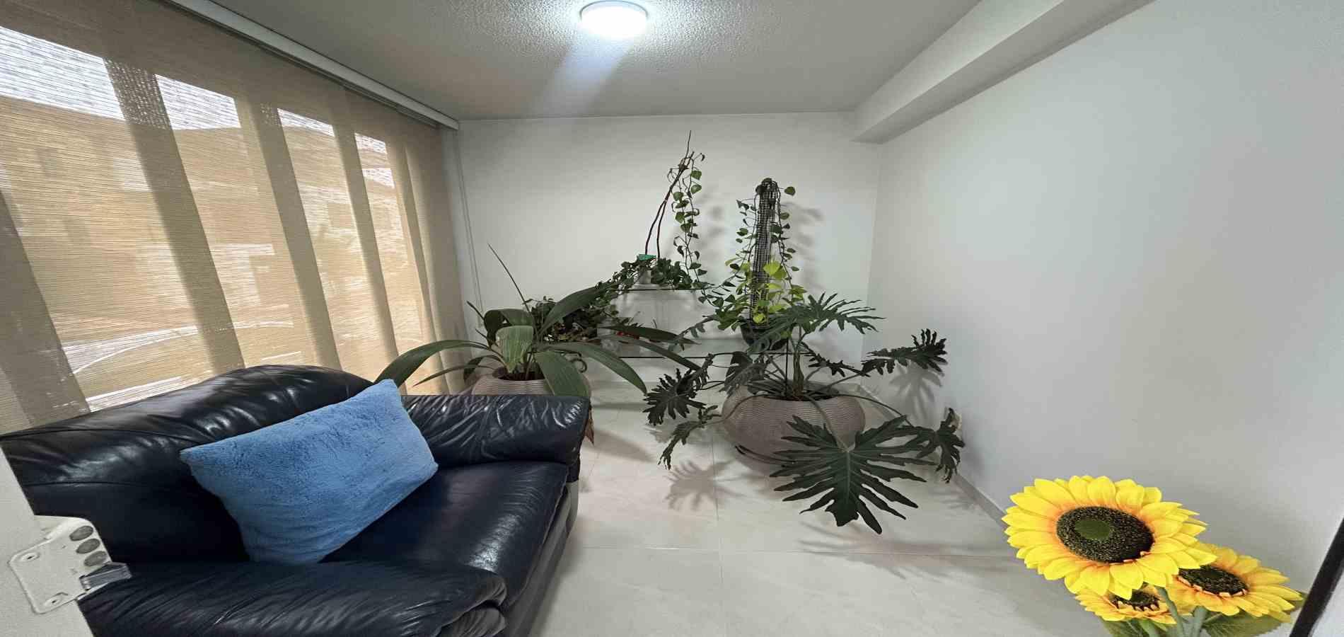 Casa en venta en La Castellana, Pereira · foto 16 de 24