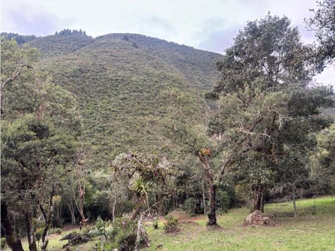 Lote en venta en Agrupación Macadamia, La Calera, 2100 m² · foto 2 de 9