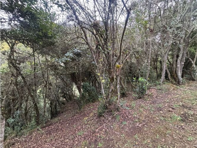 Lote en venta en Agrupación Macadamia, La Calera, 2100 m² · foto 3 de 9